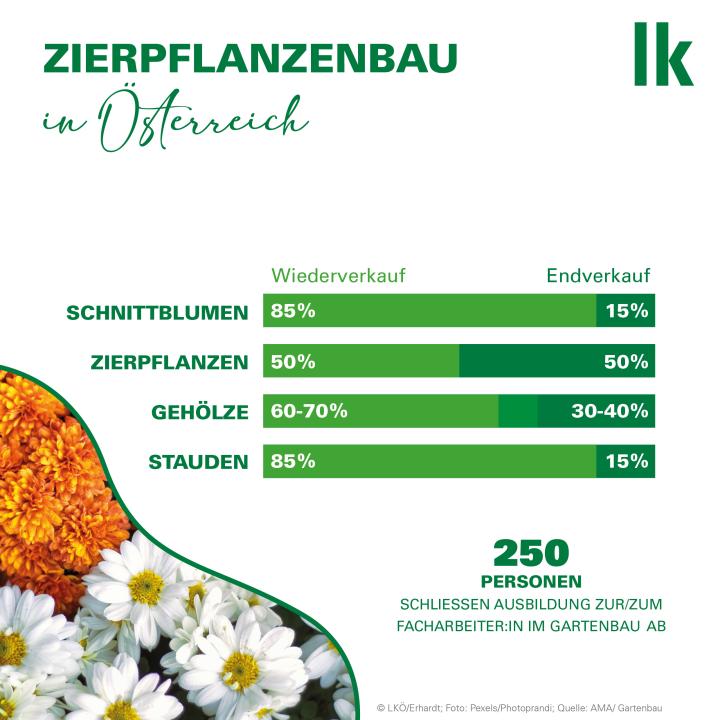 Zierpflanzenbau in Österreich